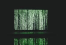 reveal authentic data numbers