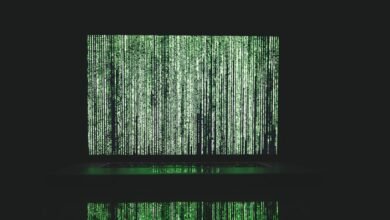 reveal authentic data numbers