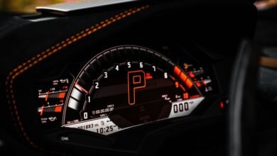 contact numbers and ips