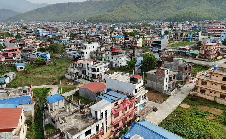 identifier presence summary report